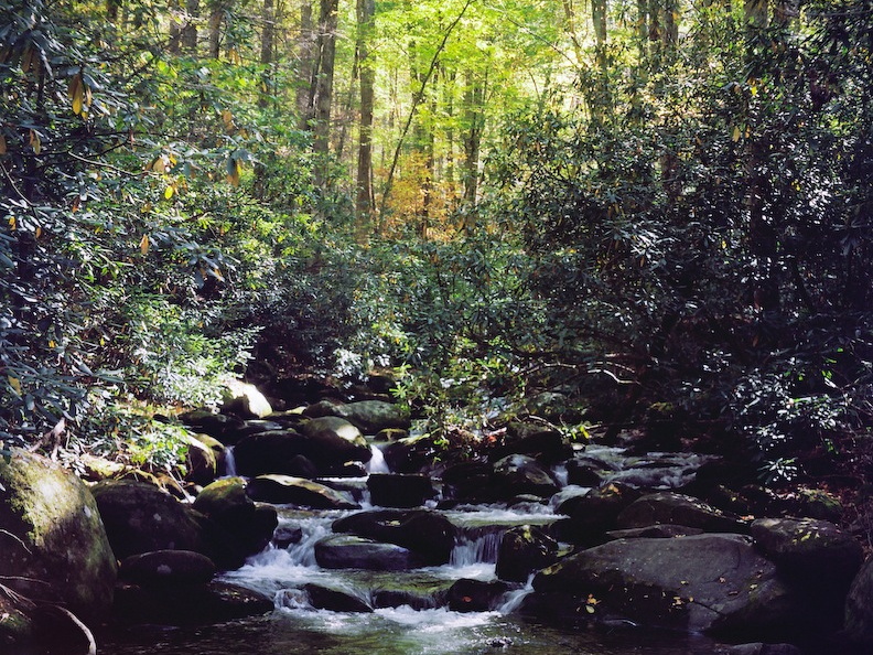 Gabes Mountain Trail